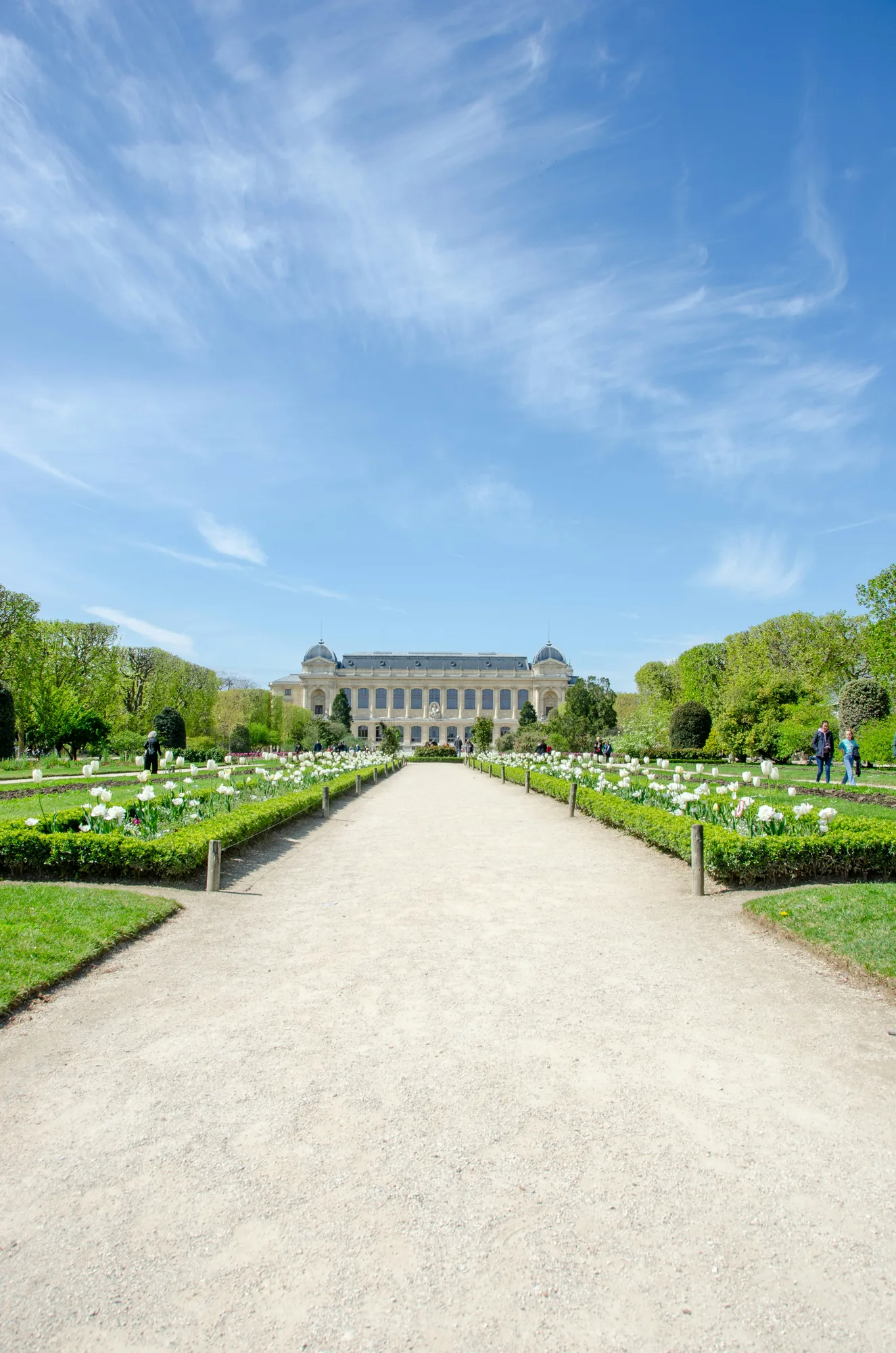 Jardin des plantes